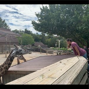 Meet your Posher, Taylor